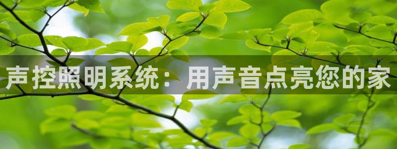 声控照明系统：用声音点亮您的家