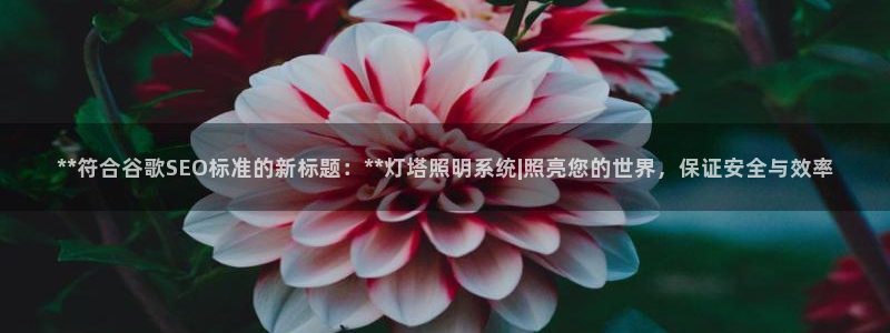 **符合谷歌SEO标准的新标题：**灯塔照明系统|照亮您的世界，保证安全与效率