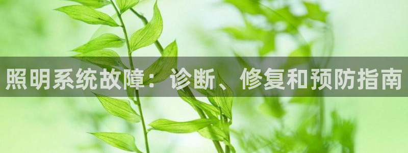 照明系统故障：诊断、修复和预防指南