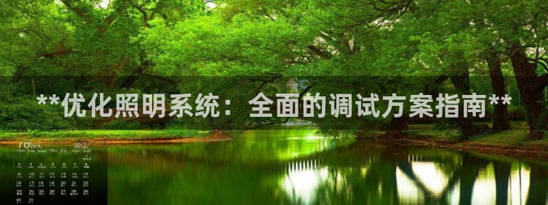 **优化照明系统：全面的调试方案指南**