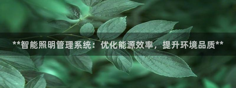 **智能照明管理系统：优化能源效率，提升环境品质**