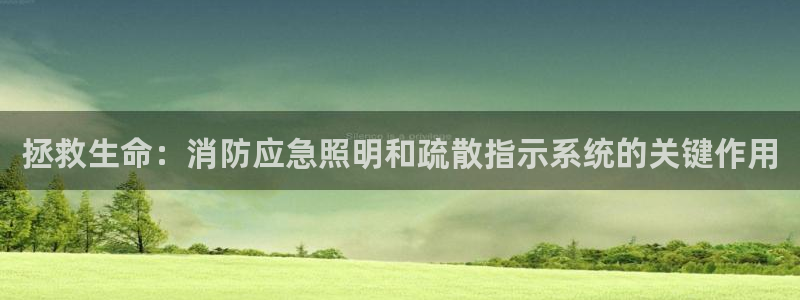 拯救生命：消防应急照明和疏散指示系统的关键作用