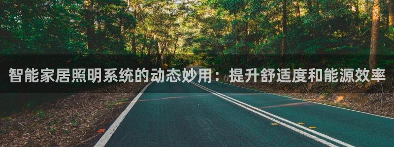 智能家居照明系统的动态妙用：提升舒适度和能源效率