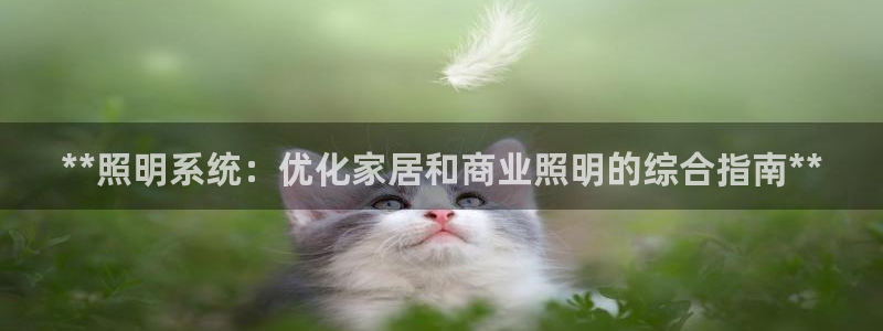 **照明系统：优化家居和商业照明的综合指南**