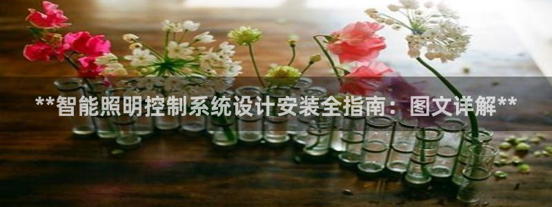 **智能照明控制系统设计安装全指南：图文详解**