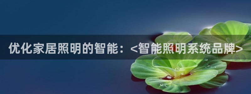 优化家居照明的智能：<智能照明系统品牌>