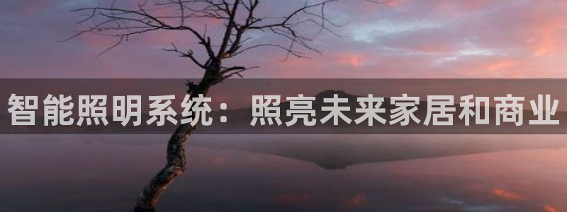 智能照明系统：照亮未来家居和商业