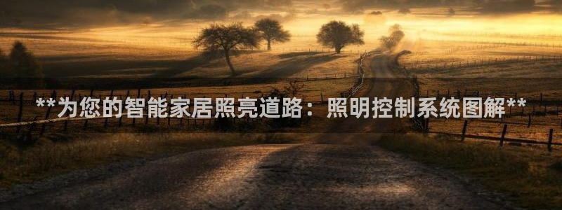 **为您的智能家居照亮道路：照明控制系统图解**
