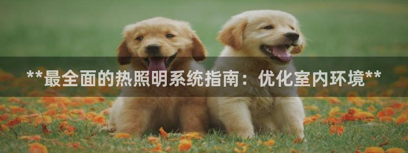 **最全面的热照明系统指南：优化室内环境**