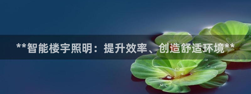 **智能楼宇照明：提升效率、创造舒适环境**