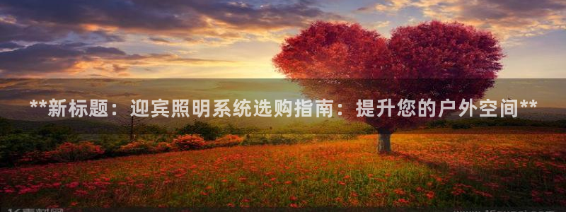 **新标题：迎宾照明系统选购指南：提升您的户外空间**