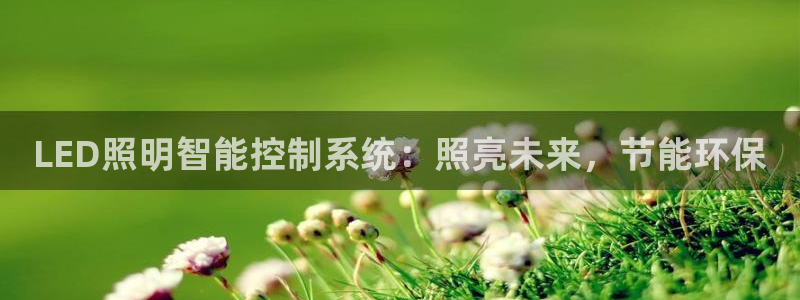LED照明智能控制系统：照亮未来，节能环保