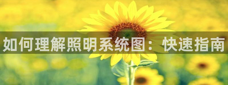 如何理解照明系统图：快速指南