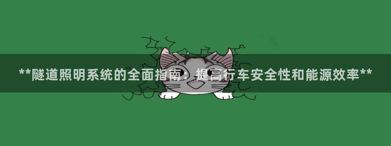 **隧道照明系统的全面指南：提高行车安全性和能源效率**