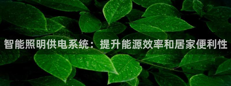 智能照明供电系统：提升能源效率和居家便利性