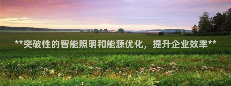 **突破性的智能照明和能源优化，提升企业效率**