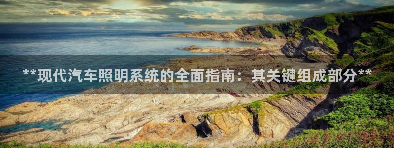 **现代汽车照明系统的全面指南：其关键组成部分**