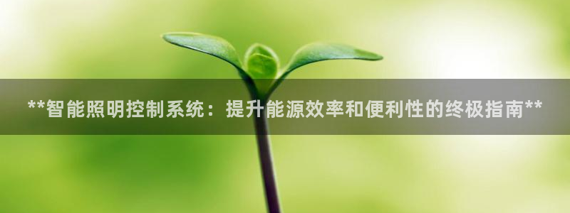 **智能照明控制系统：提升能源效率和便利性的终极指南**