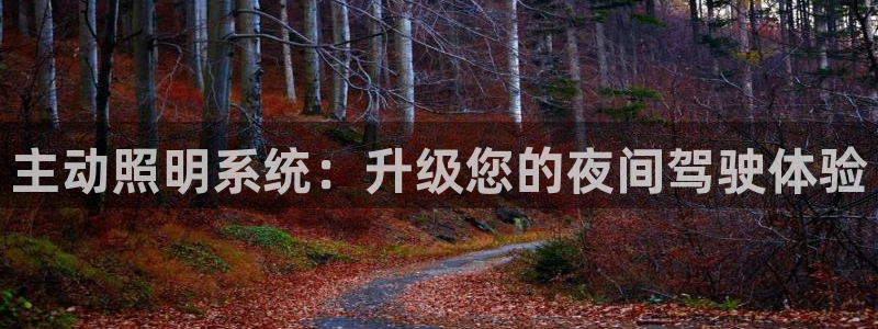 主动照明系统：升级您的夜间驾驶体验