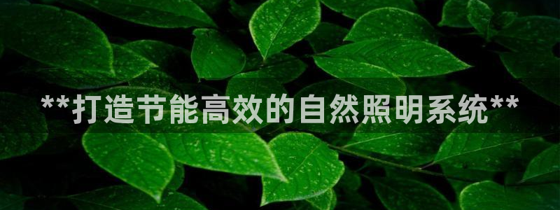 **打造节能高效的自然照明系统**