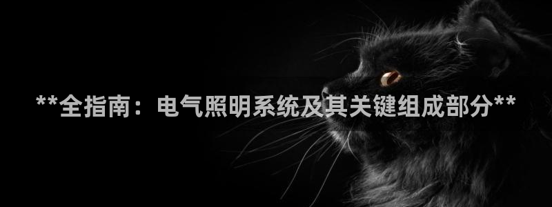 **全指南：电气照明系统及其关键组成部分**
