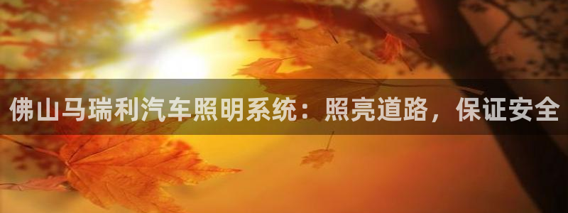 佛山马瑞利汽车照明系统：照亮道路，保证安全