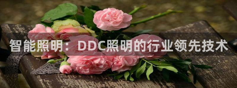 智能照明：DDC照明的行业领先技术