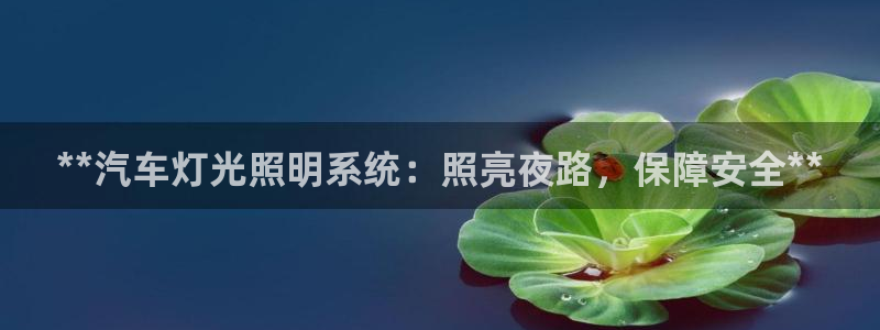 **汽车灯光照明系统：照亮夜路，保障安全**