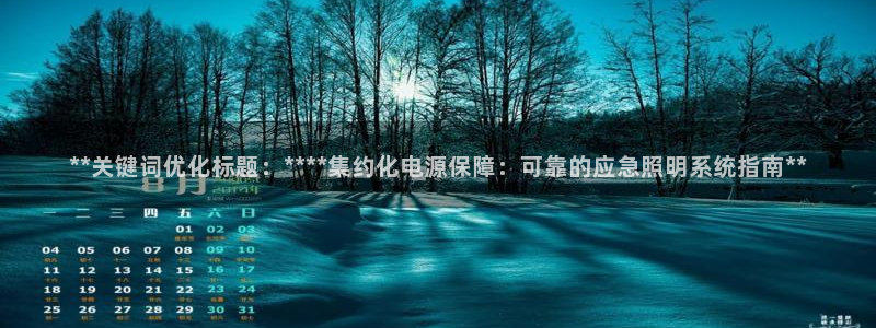 **关键词优化标题：****集约化电源保障：可靠的应急照明系统指南**