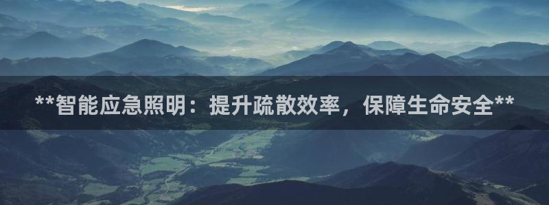 **智能应急照明：提升疏散效率，保障生命安全**