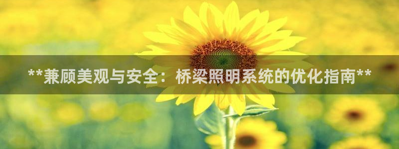 **兼顾美观与安全：桥梁照明系统的优化指南**