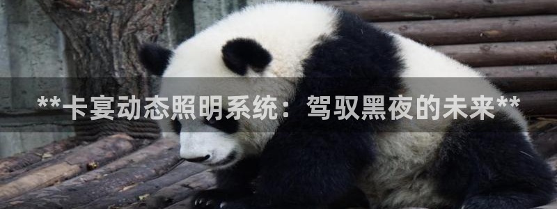 **卡宴动态照明系统：驾驭黑夜的未来**