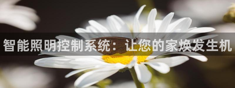 智能照明控制系统：让您的家焕发生机