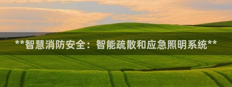 **智慧消防安全：智能疏散和应急照明系统**