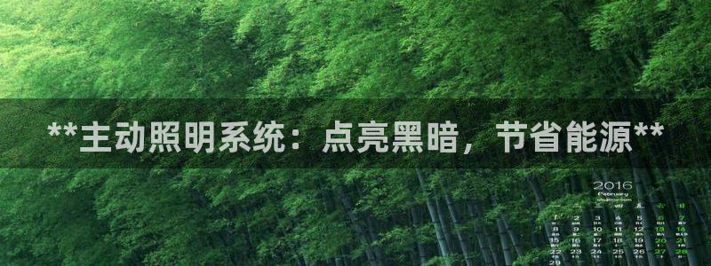 **主动照明系统：点亮黑暗，节省能源**