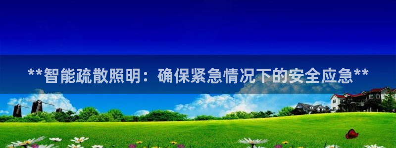 **智能疏散照明：确保紧急情况下的安全应急**
