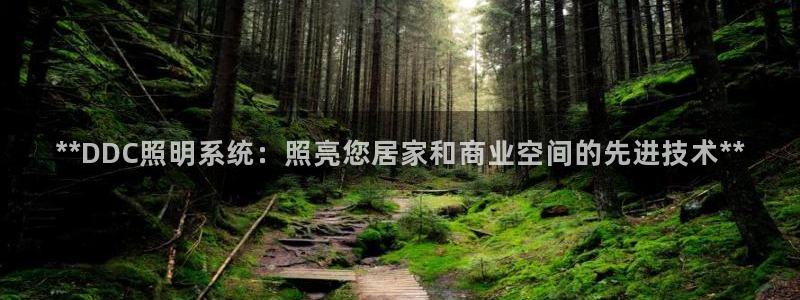 **DDC照明系统:照亮您居家和商业空间的先进技术**