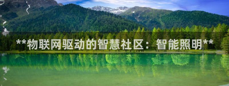 **物联网驱动的智慧社区：智能照明**