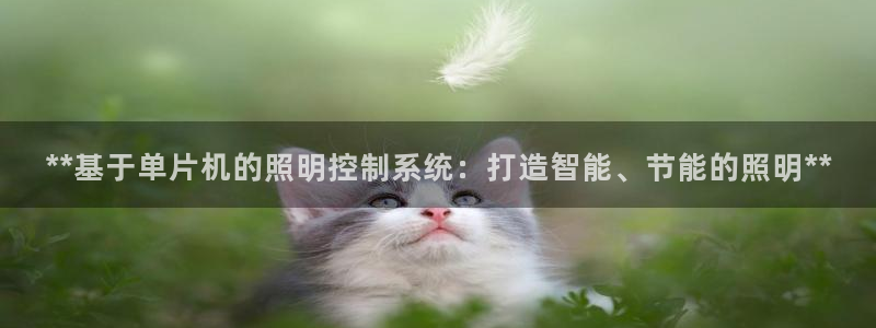 **基于单片机的照明控制系统:打造智能、节能的照明**