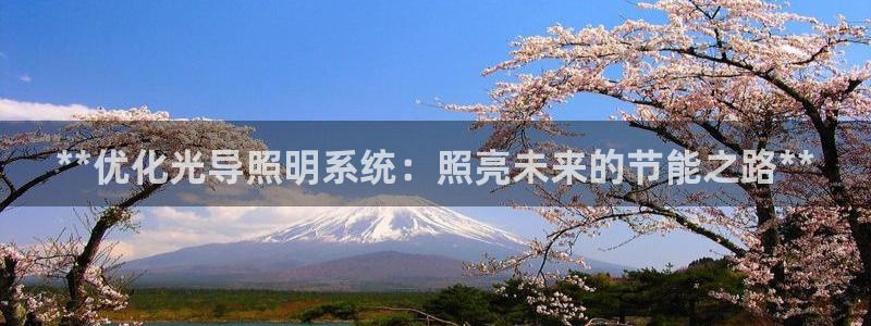 **优化光导照明系统：照亮未来的节能之路**