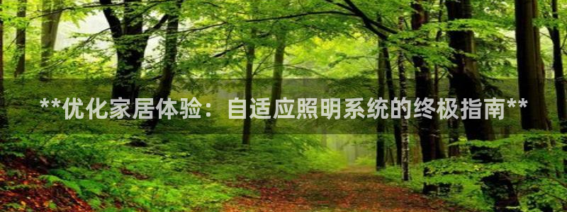 **优化家居体验：自适应照明系统的终极指南**