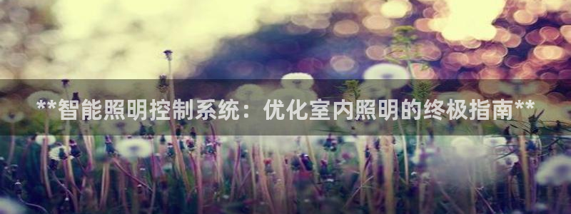 **智能照明控制系统：优化室内照明的终极指南**