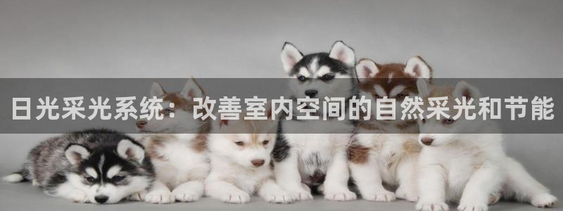 日光采光系统：改善室内空间的自然采光和节能