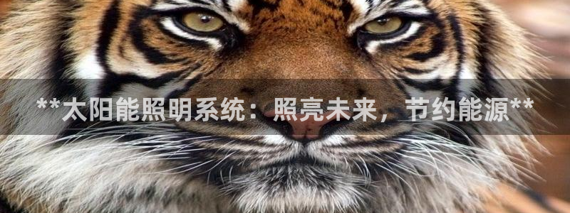 **太阳能照明系统：照亮未来，节约能源**