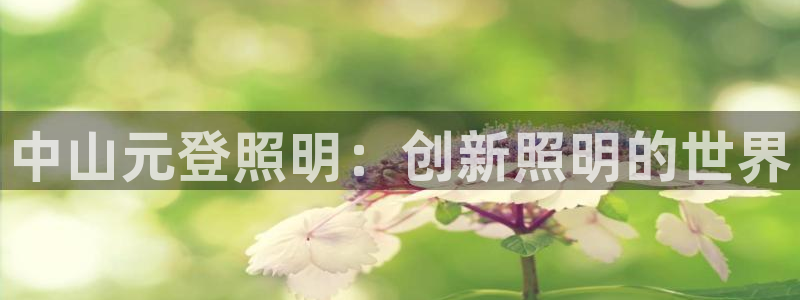 中山元登照明：创新照明的世界