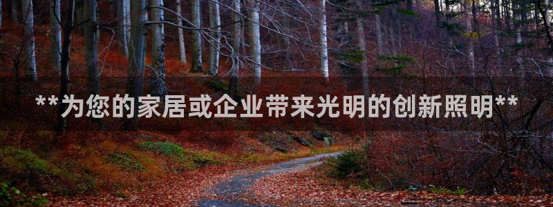 **为您的家居或企业带来光明的创新照明**