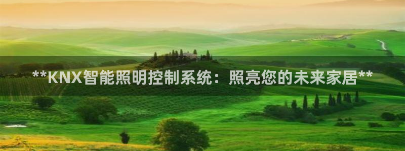 **KNX智能照明控制系统：照亮您的未来家居**