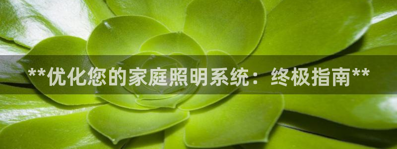 **优化您的家庭照明系统：终极指南**