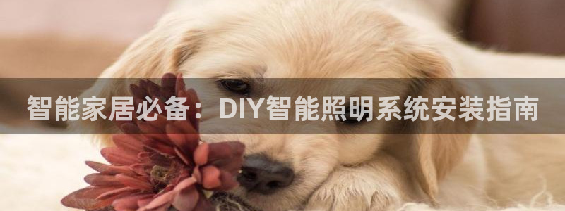 智能家居必备：DIY智能照明系统安装指南