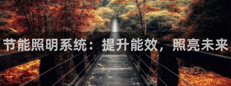 节能照明系统：提升能效，照亮未来